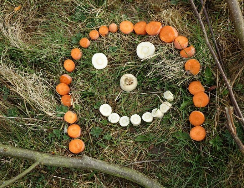 dsc02343 alt ed dsc02343 alt ed