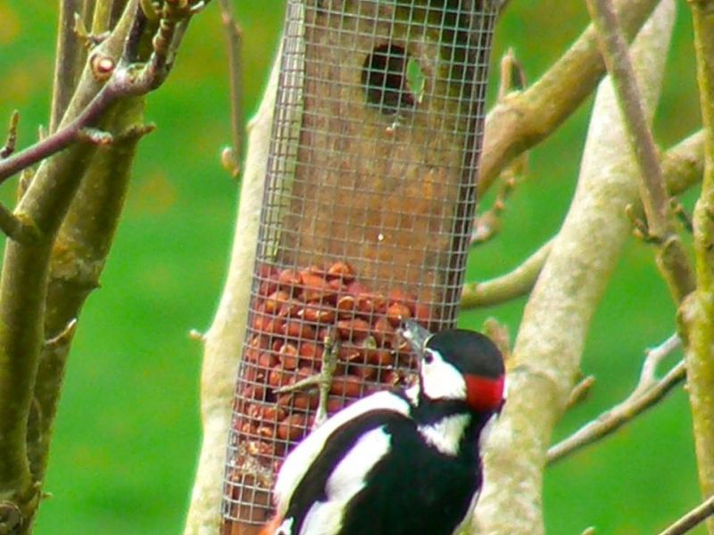 eaq luccombe 10 eaq luccombe 10