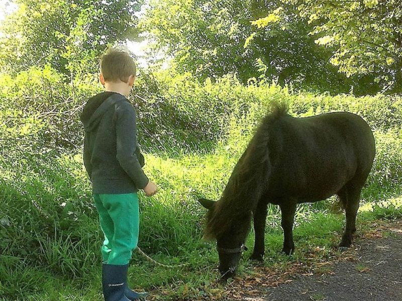 eaq luccombe 11 eaq luccombe 11