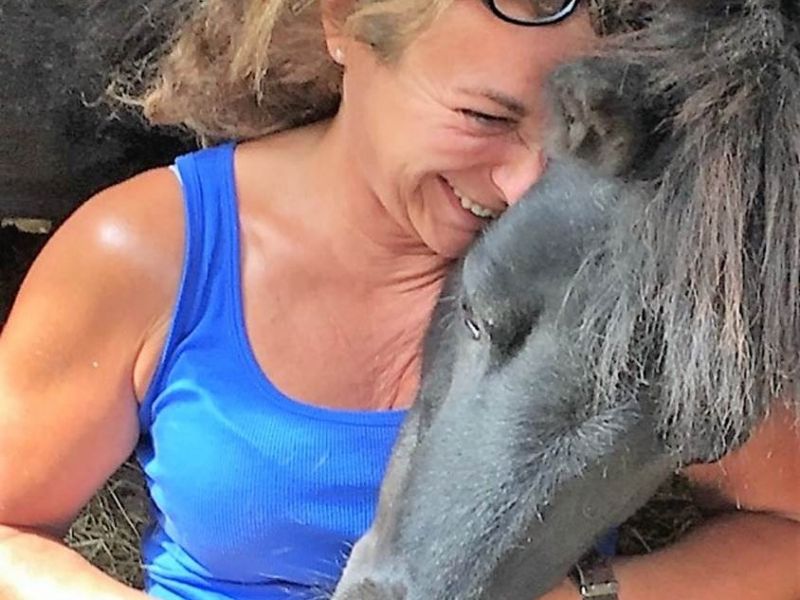 eaq luccombe 3 eaq luccombe 3