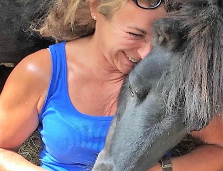 eaq luccombe 3 eaq luccombe 3