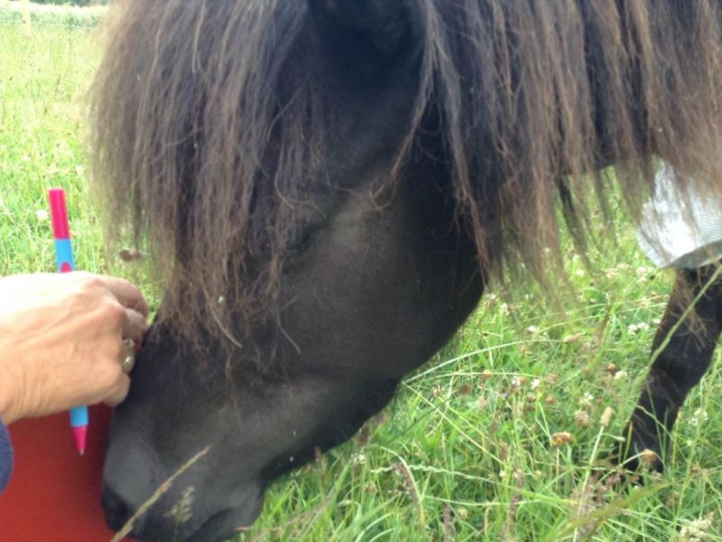 eaq luccombe 7 eaq luccombe 7