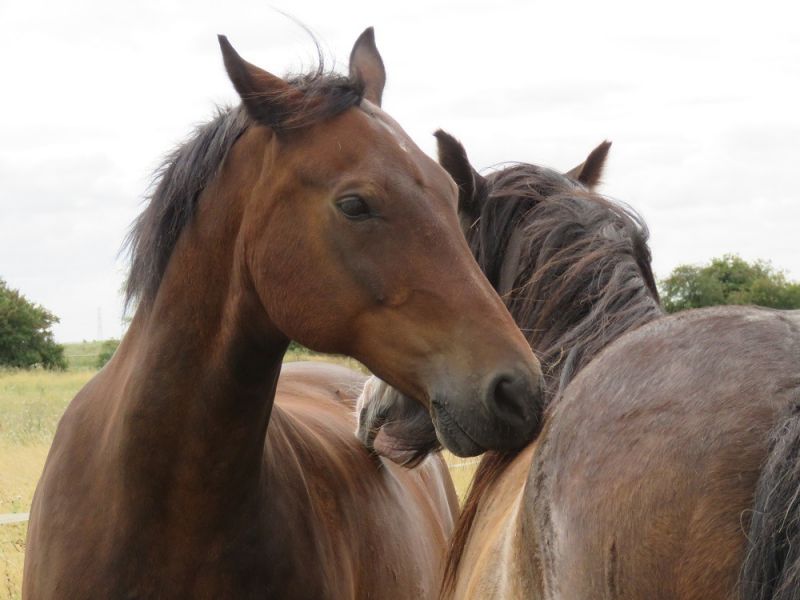 eaq mid somerset 10 eaq mid somerset 10