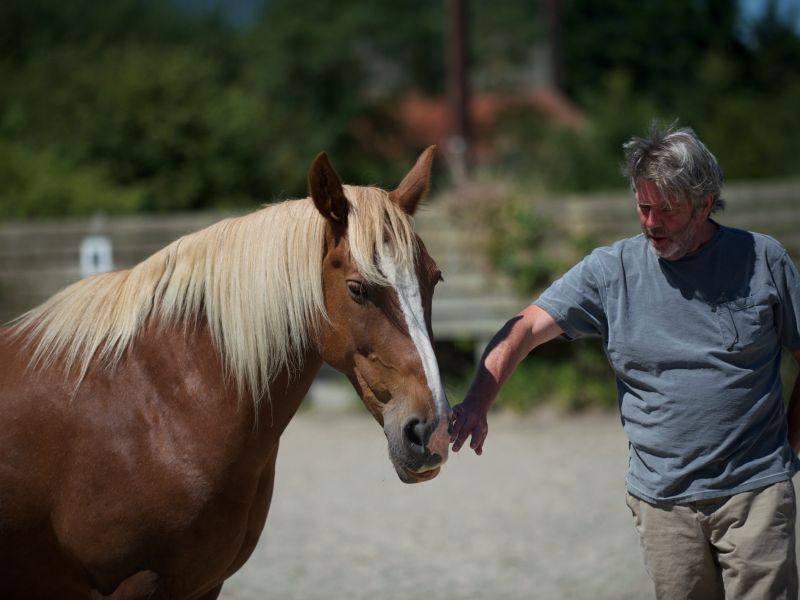 eaq mid somerset 2 eaq mid somerset 2