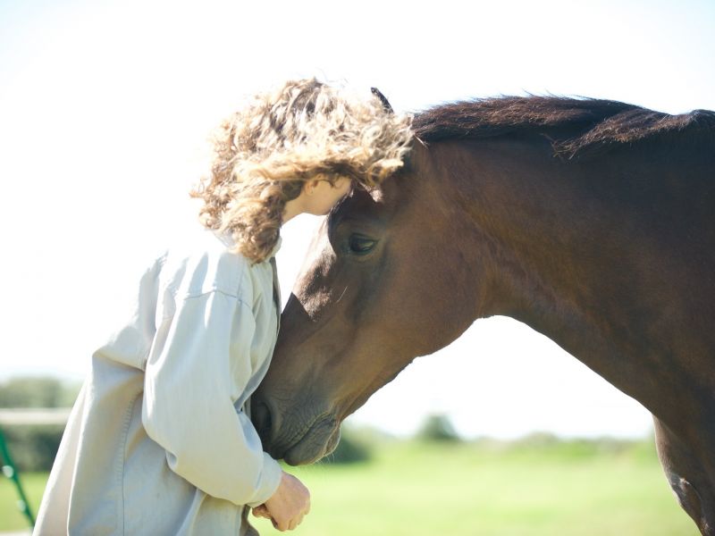 eaq mid somerset 3 eaq mid somerset 3