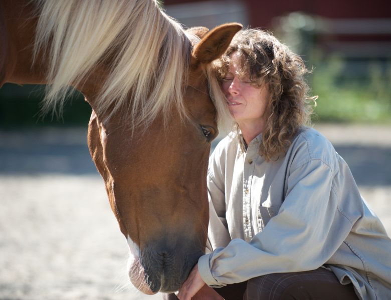 eaq mid somerset 4 eaq mid somerset 4