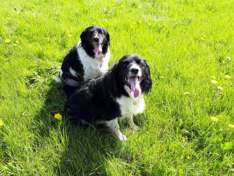 eaq mid somerset 5 eaq mid somerset 5