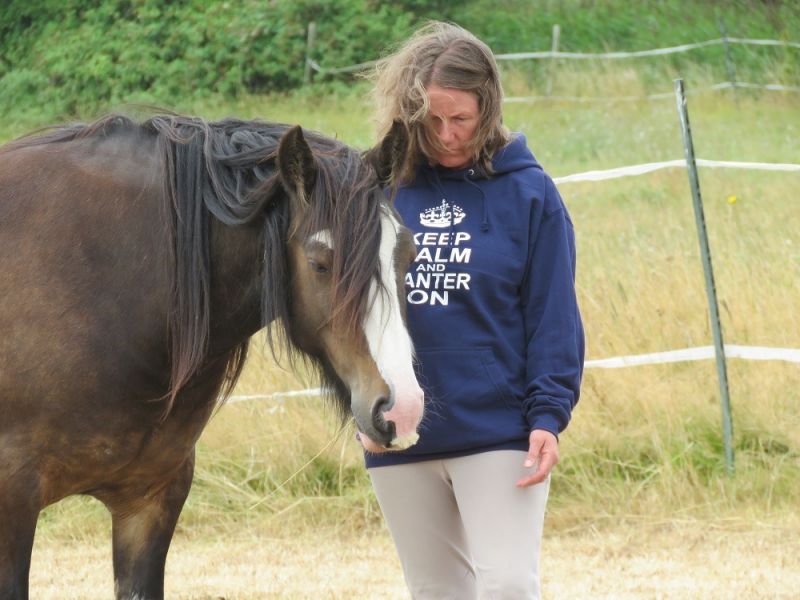 eaq mid somerset 6 eaq mid somerset 6