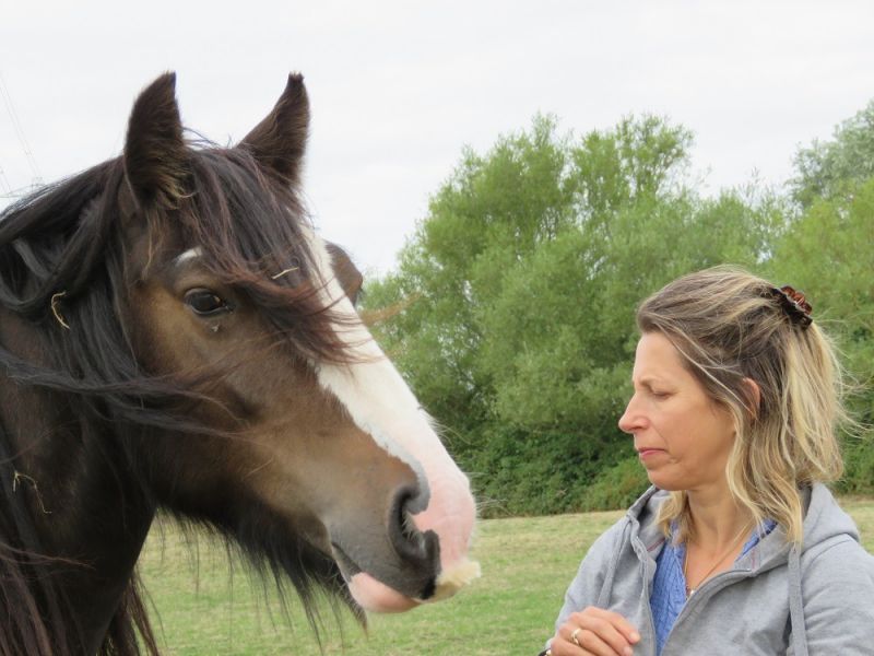 eaq mid somerset 7 eaq mid somerset 7