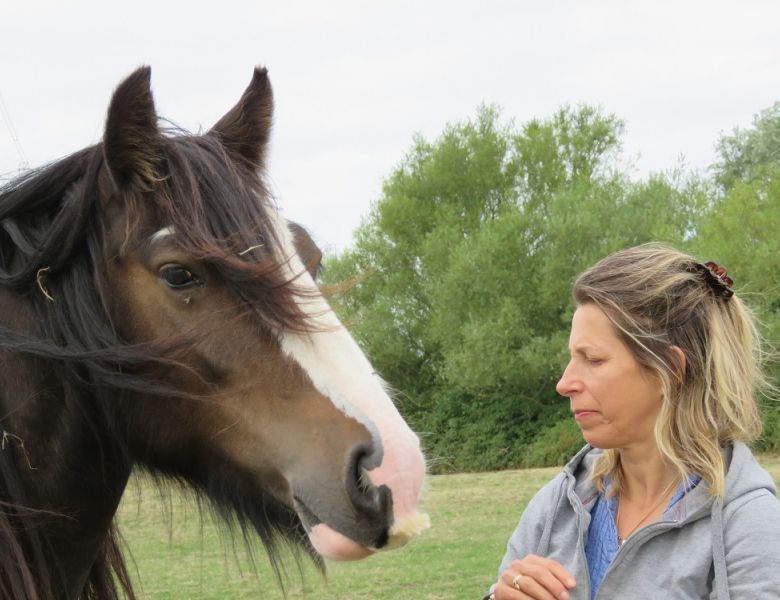 eaq mid somerset 7 eaq mid somerset 7