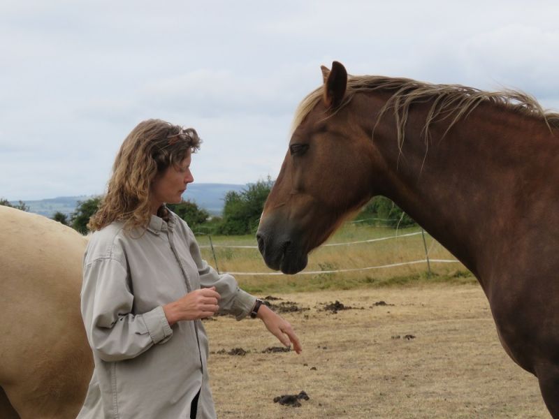 eaq mid somerset 8 eaq mid somerset 8