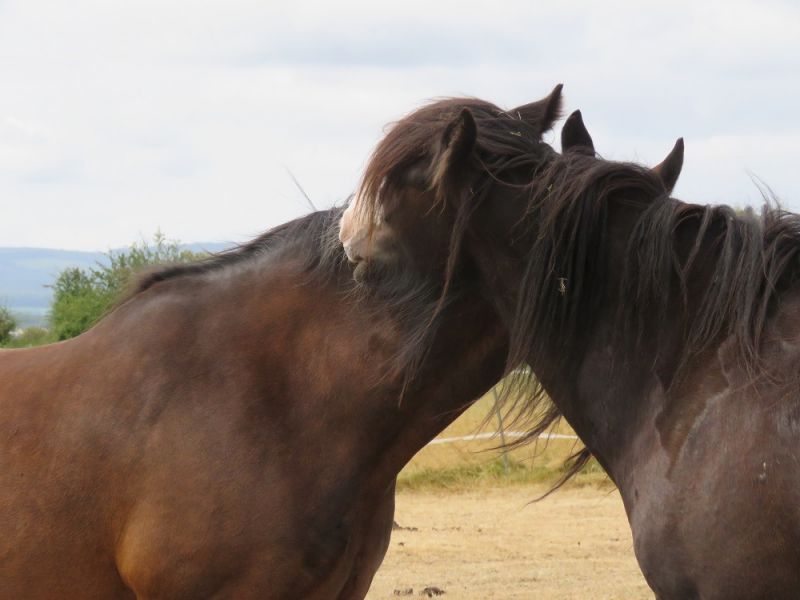 eaq mid somerset 9 eaq mid somerset 9