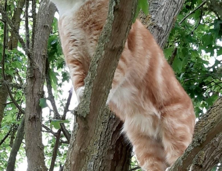 expresselyequineassistedlearning 6 expresselyequineassistedlearning 6