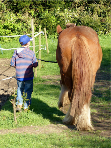 grassroots 1 grassroots 1