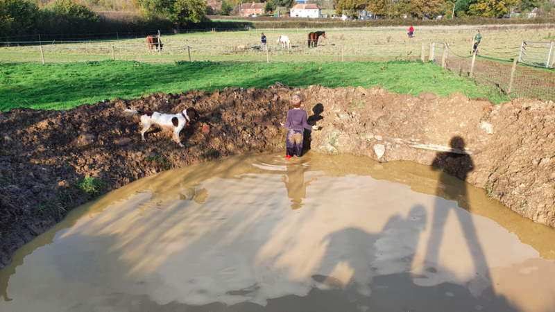 grassroots 2 grassroots 2