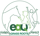 grassroots 3 grassroots 3