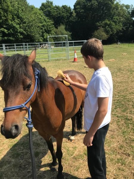 ingatestone 3 ingatestone 3