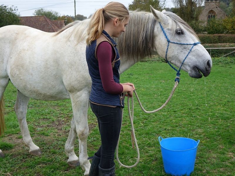 manor farm 3 manor farm 3