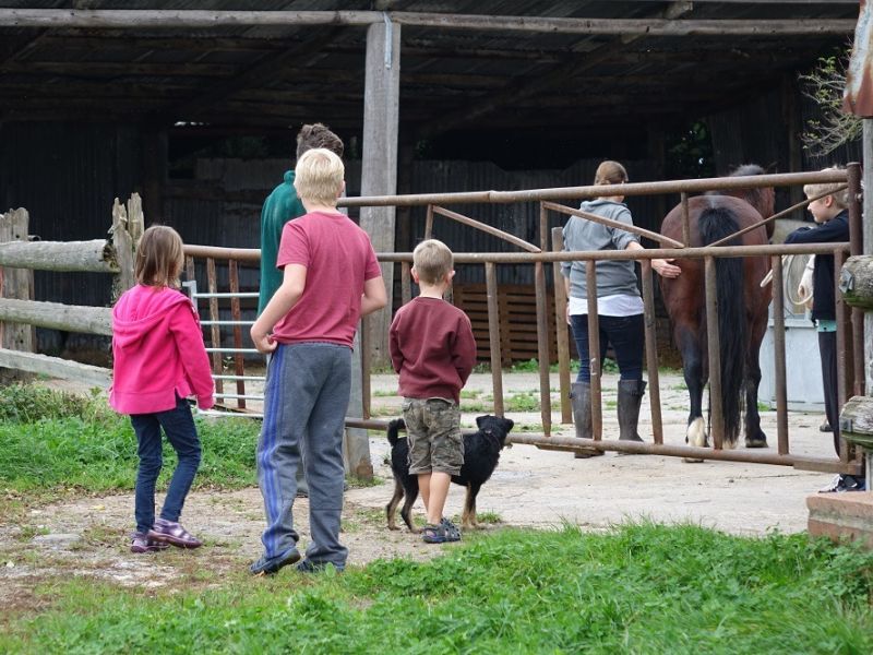 manor farm 5 manor farm 5