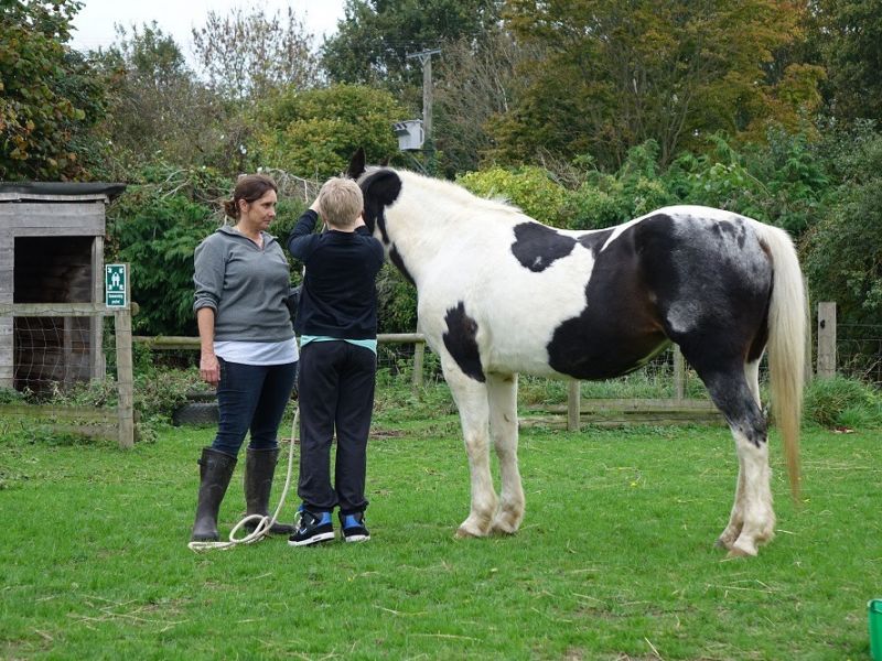 manor farm 6 manor farm 6