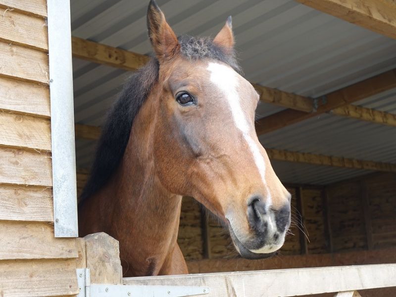 manor farm 7 manor farm 7