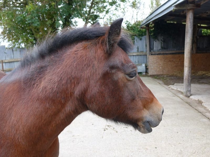 manor farm 8 manor farm 8