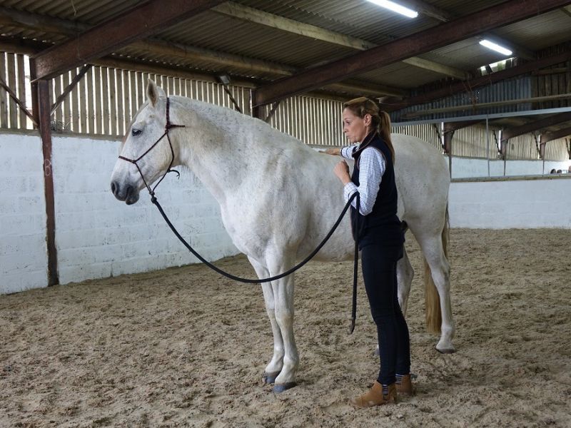 manor farm 9 manor farm 9