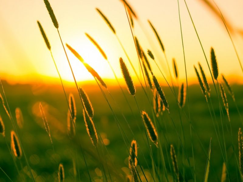 sunyellowphotography sunyellowphotography