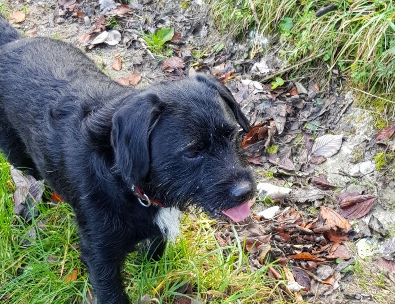 2017 11 16 10.12.47 2017 11 16 10.12.47