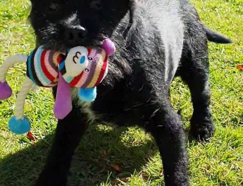 20200528 125517 20200528 125517