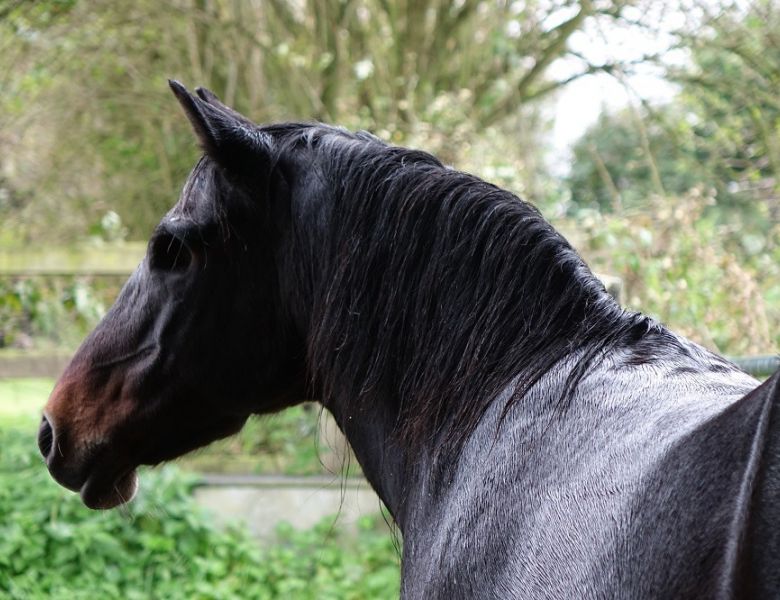 int ass  dsc00276 int ass  dsc00276