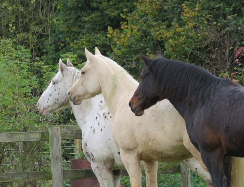 int ass  img 8844 int ass  img 8844