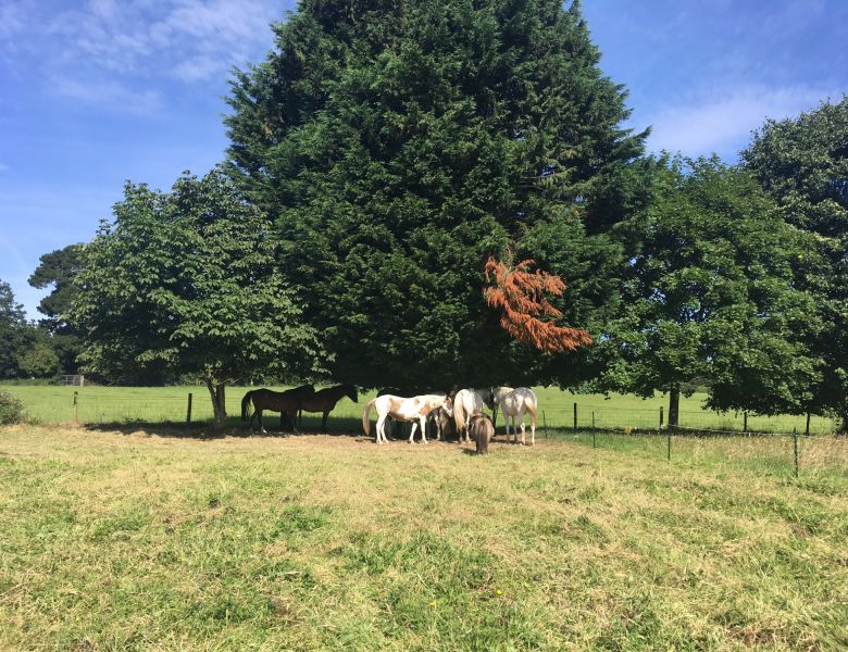 new horizons 2 new horizons 2